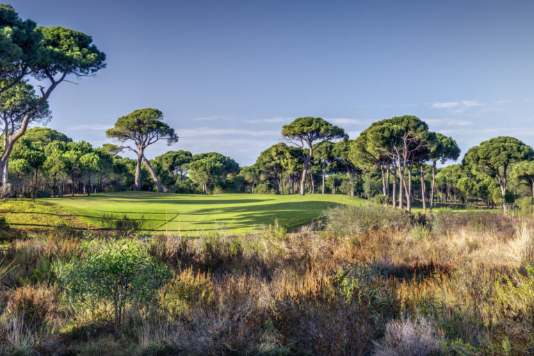 cornelia_diamond_golf_club_new26 (10)