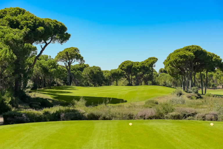 cornelia_diamond_golf_club_new26 (11)