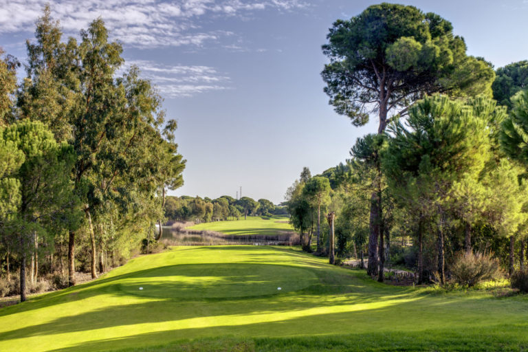 cornelia_diamond_golf_club_new26 (12)