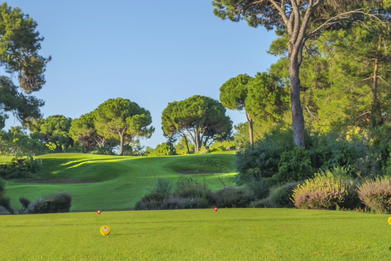 cornelia_diamond_golf_club_new26 (7)