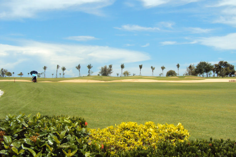 Sea-Pine-Golf-Course