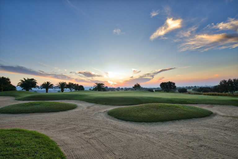 Golf Citrus