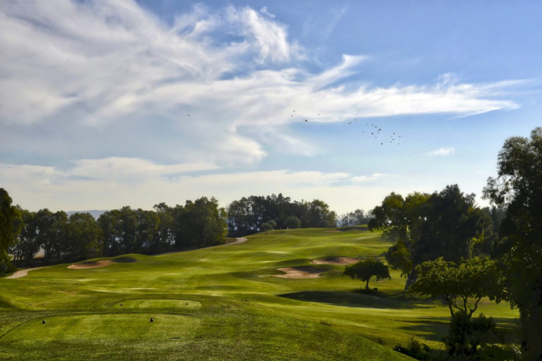 Golf Citrus