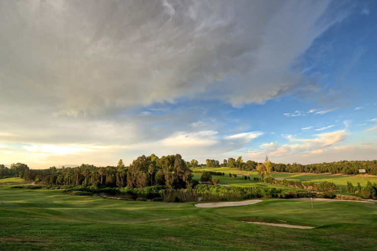 Golf Citrus
