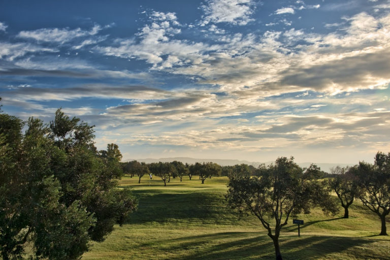 Golf Citrus