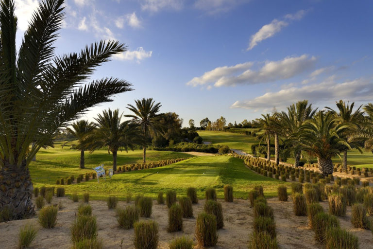 Golf Citrus