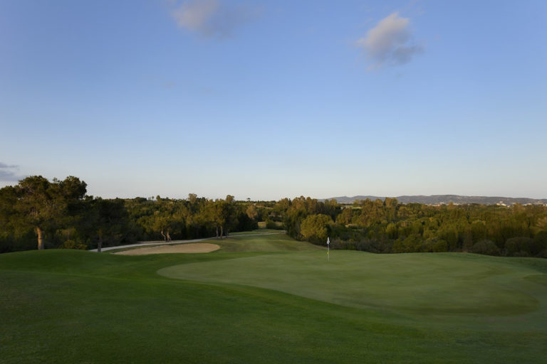 Golf Citrus