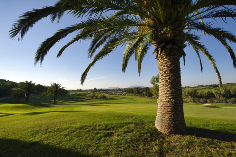 Golf Citrus