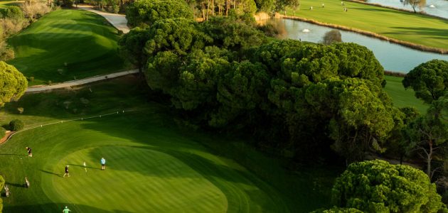 cornelia_diamond_golf_club_new26_header