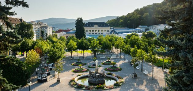 tvbaden_at_the_park04header