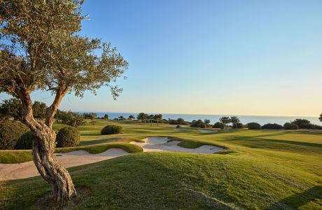Aphrodite Hills
